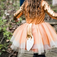 Great Pretenders Costume Fox Dress with Headpiece Woodland 5 - 6 years