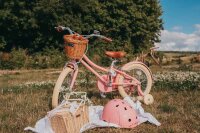 Bobbin  Gingersnap Childrens Bike 16 Inch