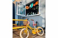 Bobbin  Gingersnap Childrens Bike 16 Inch