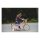 Bobbin  Gingersnap Childrens Bike 16 Inch