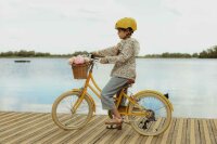 Bobbin Gingersnap Childrens Bike 20 Inch