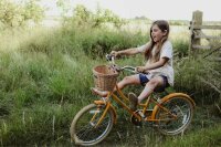 Kinderfahrrad Bobbin Gingersnap 20 Zoll