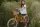 Kinderfahrrad Bobbin Gingersnap 20 Zoll