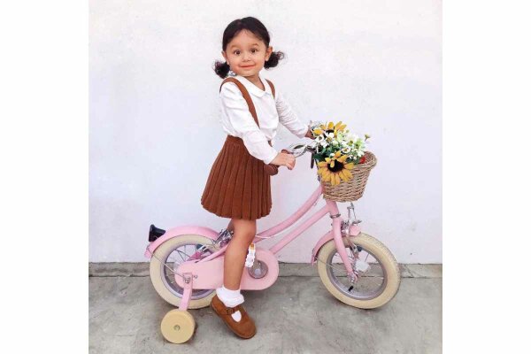 Kinderfahrrad Bobbin Gingersnap 12 Zoll