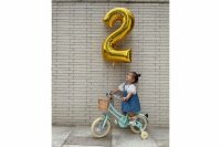 Bobbin Gingersnap Childrens Bike 12 Inch